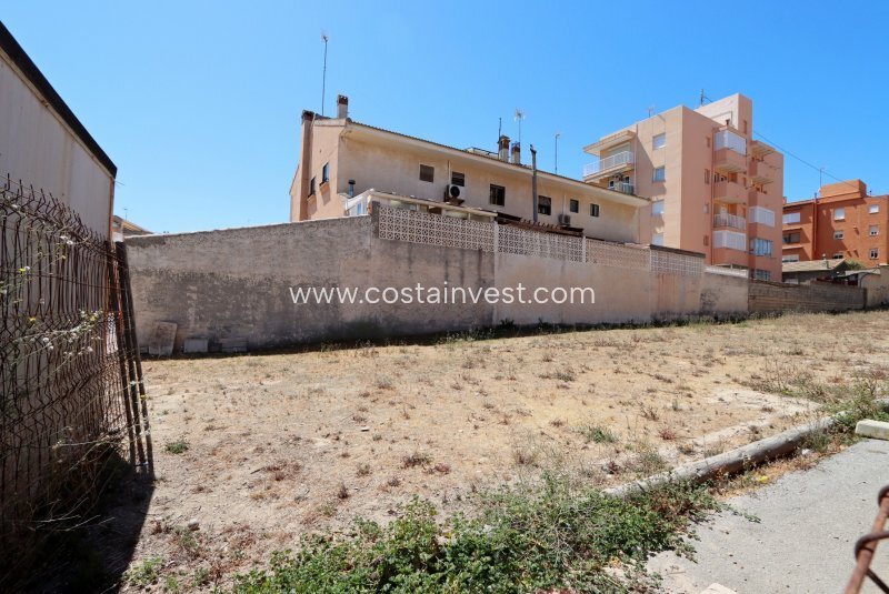 Land in Guardamar del Segura, Valencian Community, Spain 3 - 12751472
