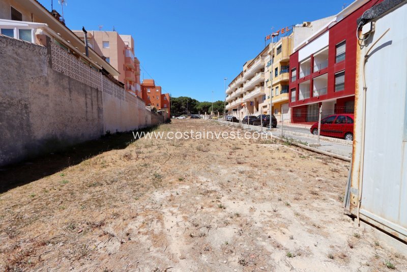 Land in Guardamar del Segura, Valencian Community, Spain 2 - 12751472