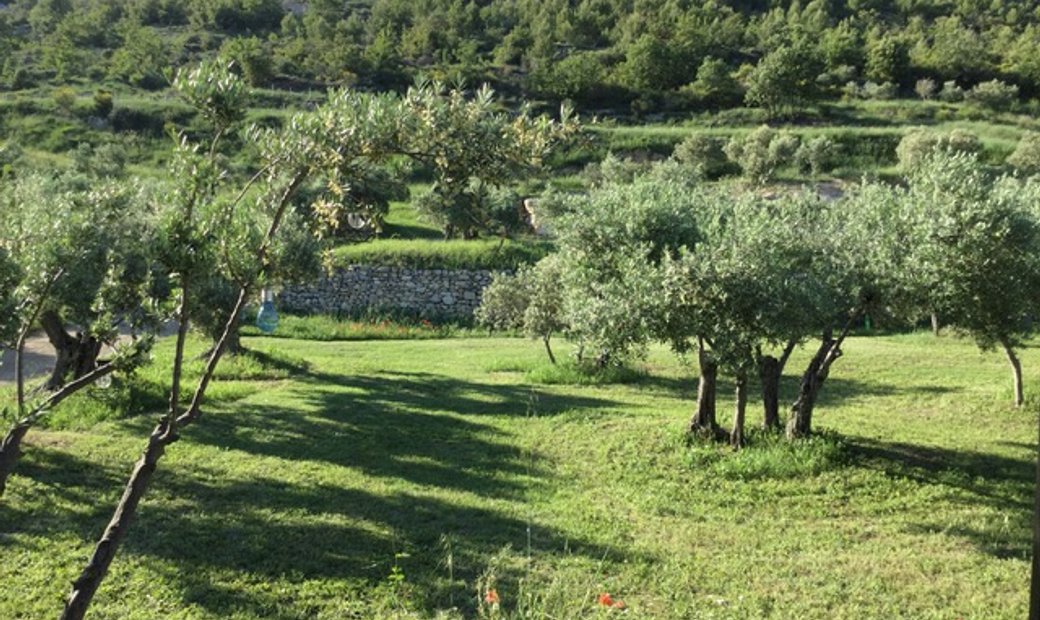 House With An Olivette Of 150 In Manosque, Provence Alpes Côte D'azur