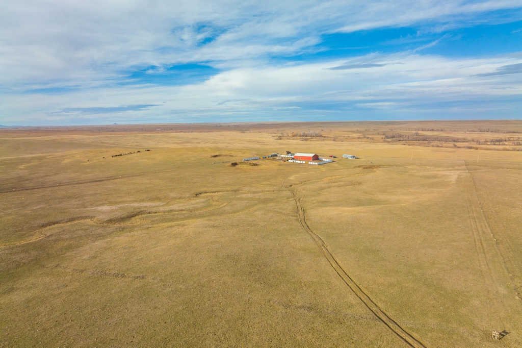 Farm And Agriculture Box Elder In New Underwood, South Dakota, United States For Sale (12407421)