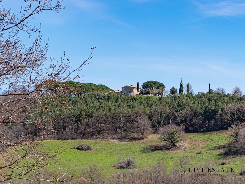 Estate in Semproniano, Tuscany, Italy 3 - 12764380