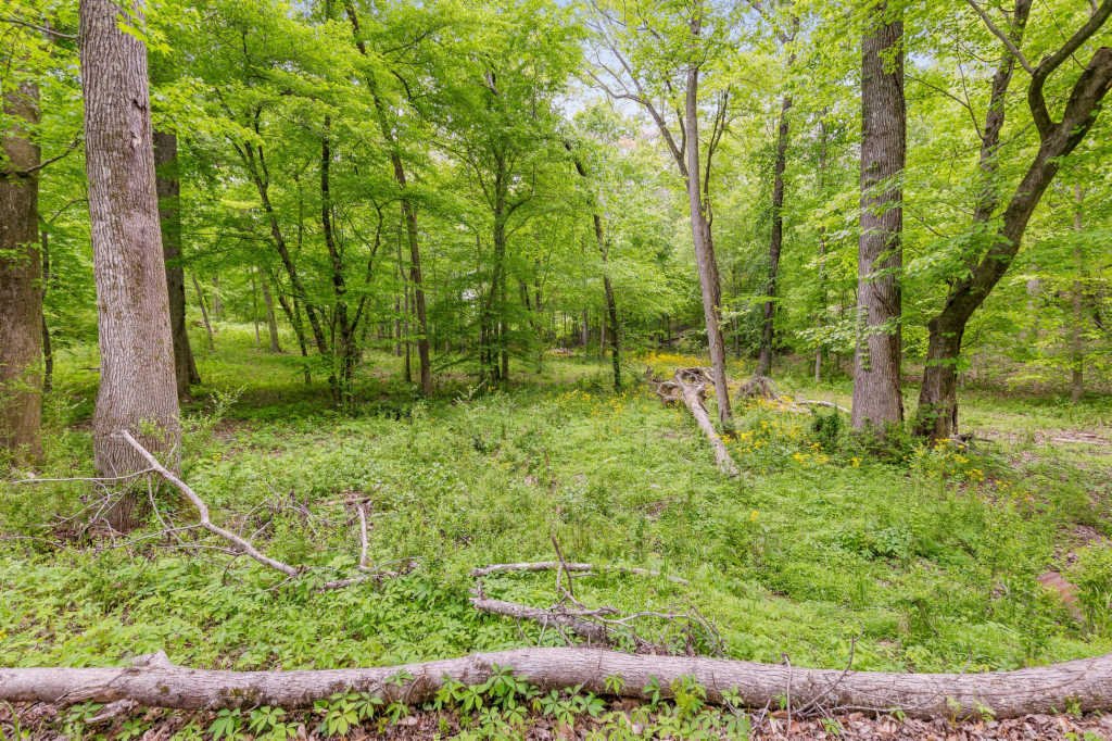 Lots And Land Chattanooga In Chattanooga, Tennessee, United States For Sale (12766167)