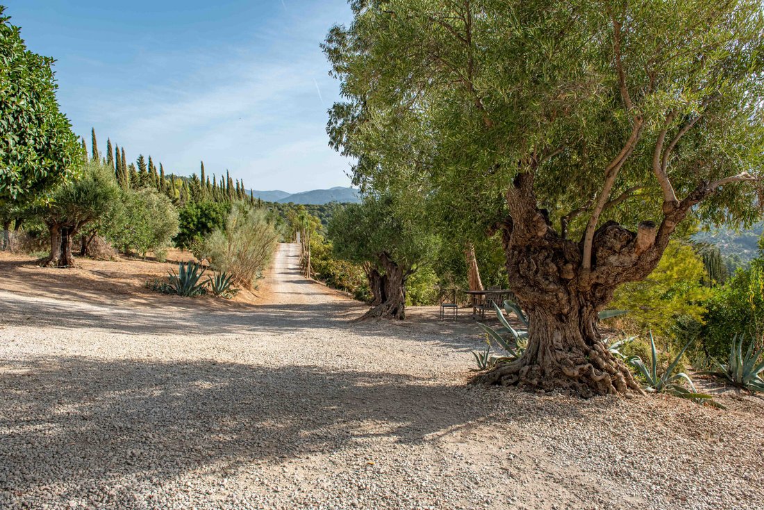 Exclusive Country House Andalusia, Fully Self In Gaucín, Andalusia