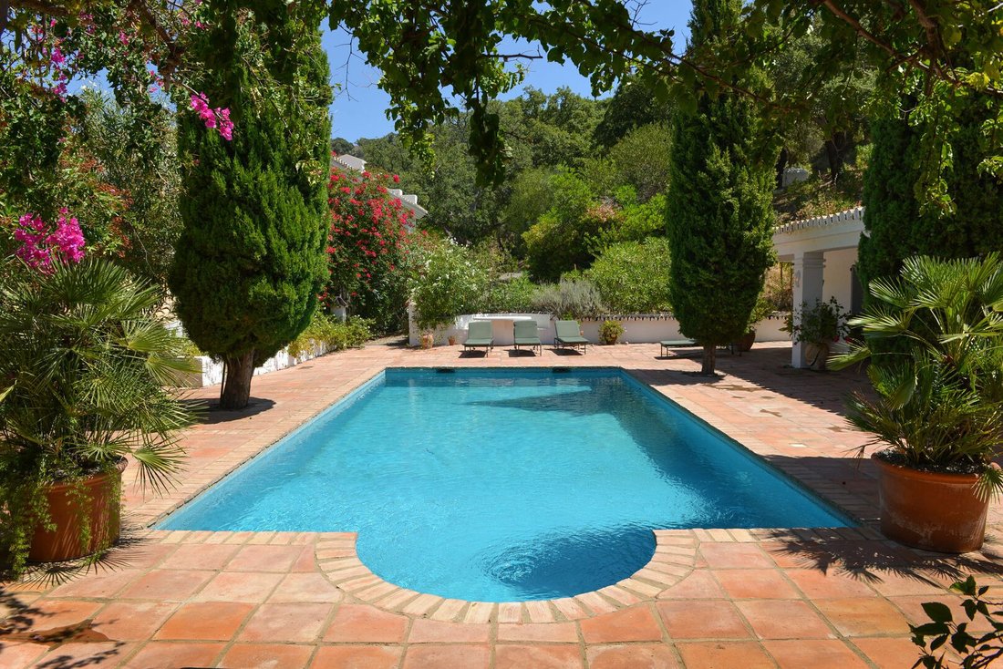 Estate in Casares, Andalusia, Spain 3 - 12768587