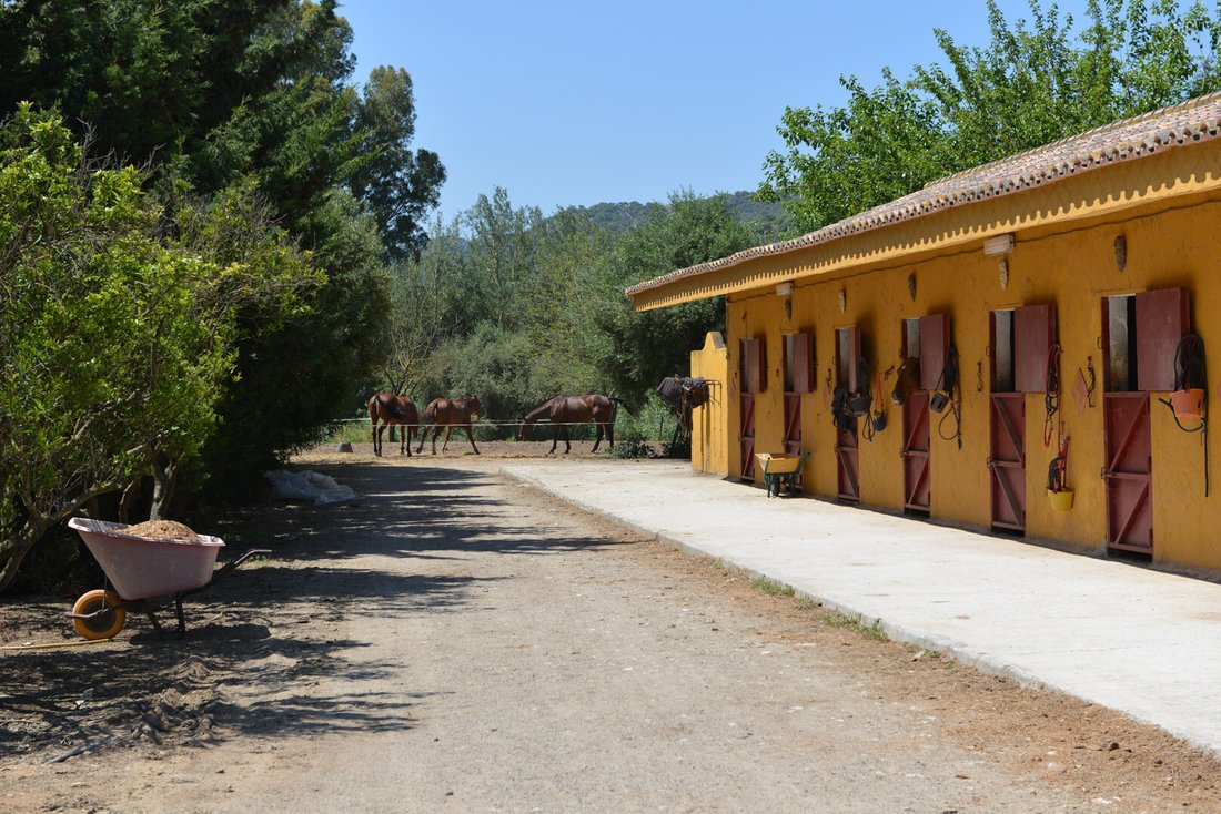 Estate in Jimena de la Frontera, Andalusia, Spain 3 - 12768610