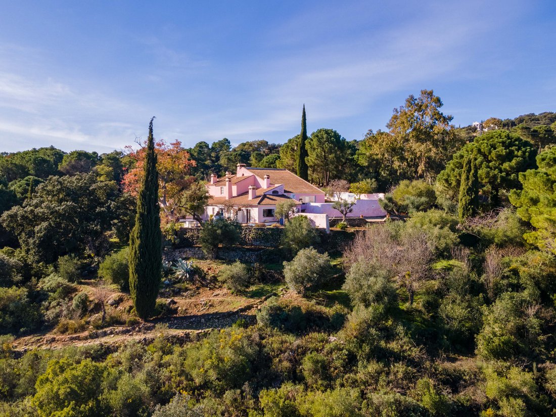 Finca in Ronda, Andalusia, Spain 1 - 12768643