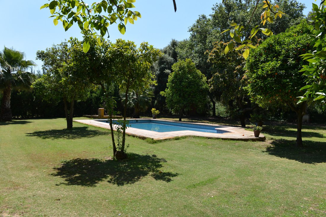 Estate in Jimena de la Frontera, Andalusia, Spain 5 - 12768610