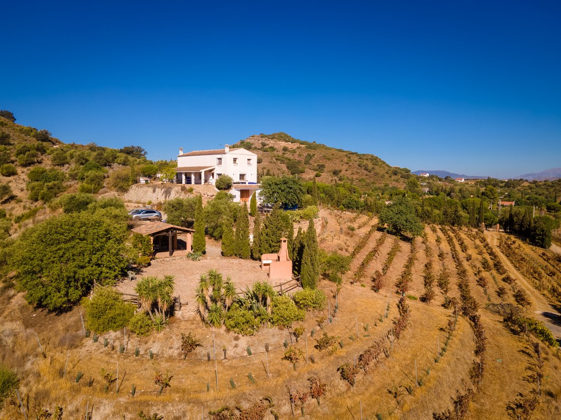 Boutique & Successful Vineyard With Bodega, Winery In Málaga, Andalusia