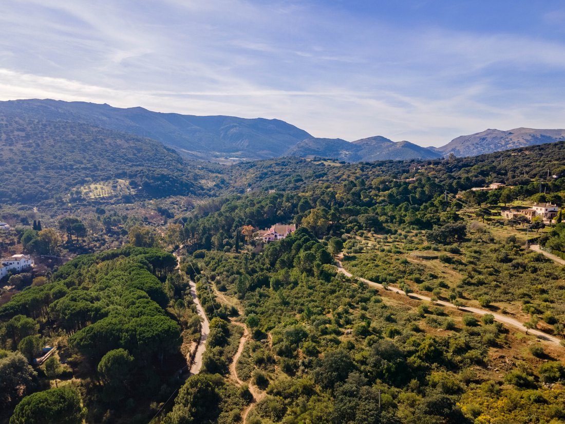 Finca in Ronda, Andalusia, Spain 2 - 12768643
