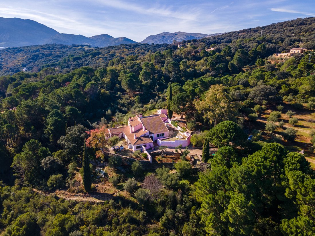 Finca in Ronda, Andalusia, Spain 3 - 12768643