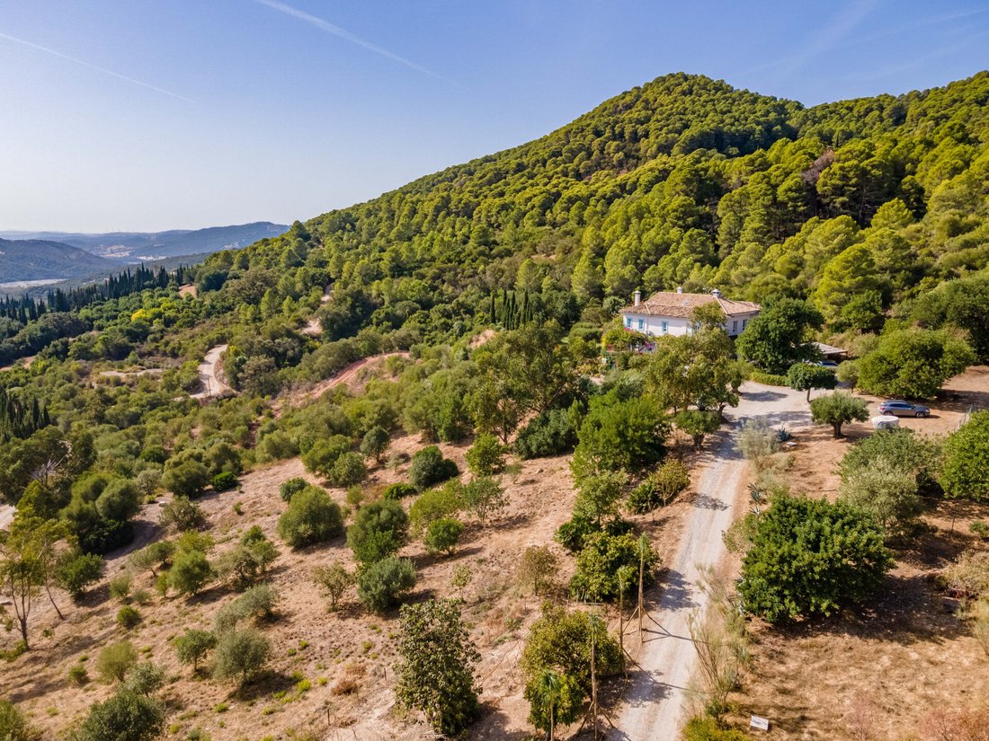 Exclusive Country House Andalusia, Fully Self In Gaucín, Andalusia