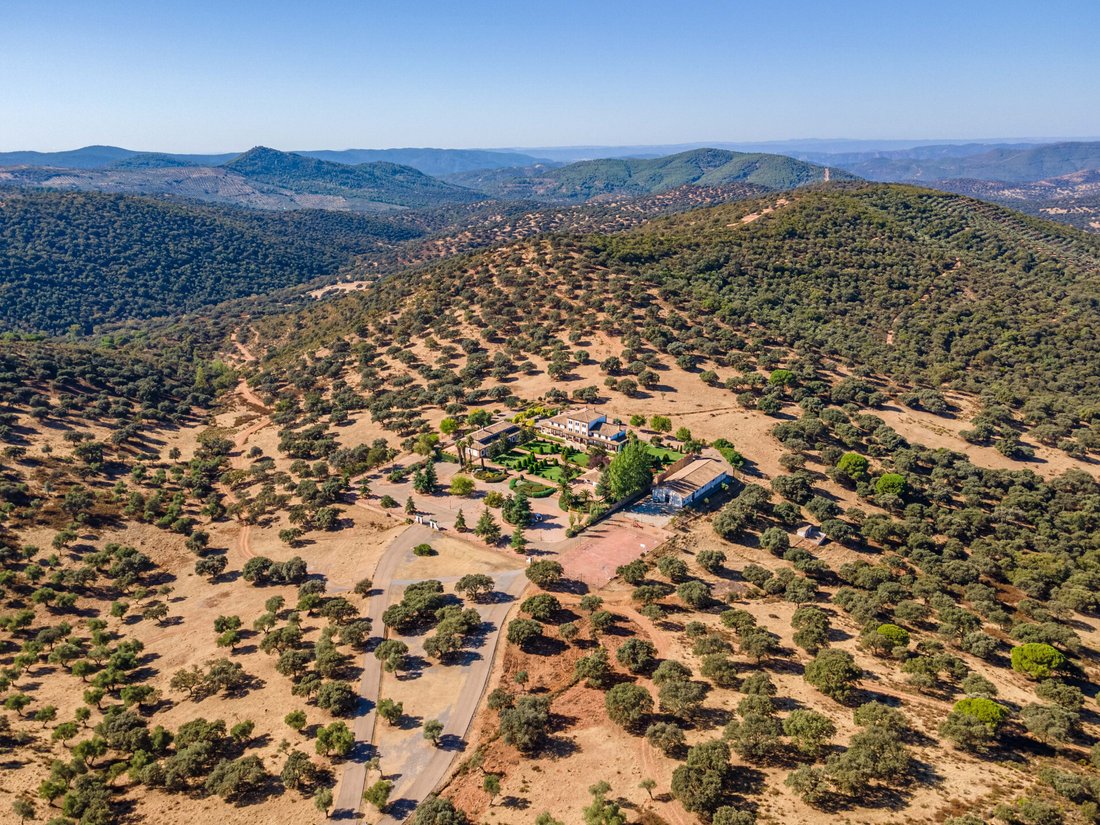 Fantastic Hunting Estate With Majestic Spanish In Córdoba, Andalusia