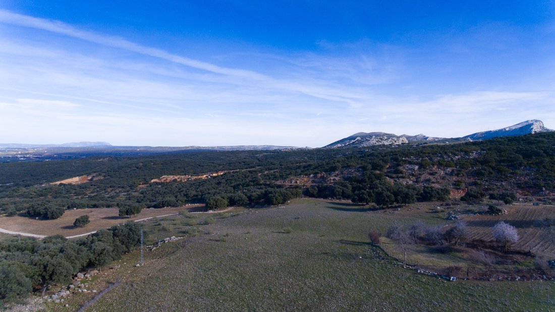 Land in Ronda, Andalusia, Spain 2 - 12768576