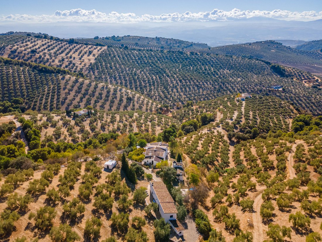 Villa in Centro, Granada, Spain 3 - 12768641
