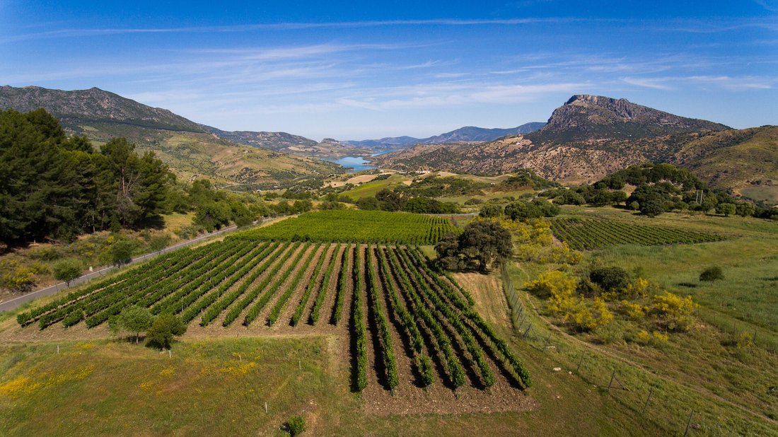 Finca in Ronda, Andalusia, Spain 1 - 12768698