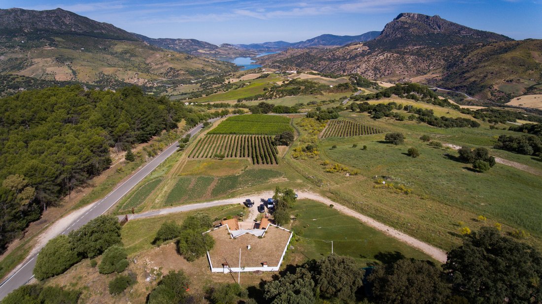 Finca in Ronda, Andalusia, Spain 3 - 12768698