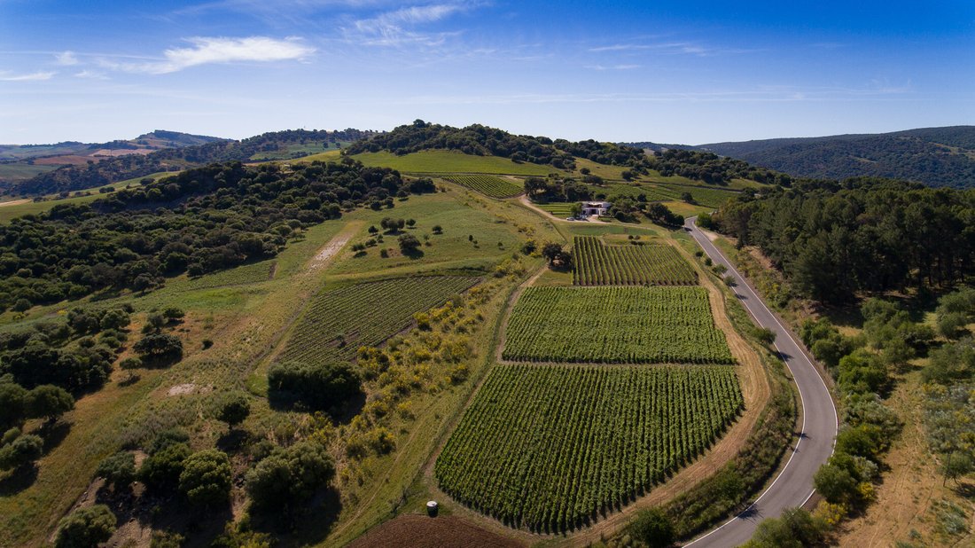 Finca in Ronda, Andalusia, Spain 2 - 12768698
