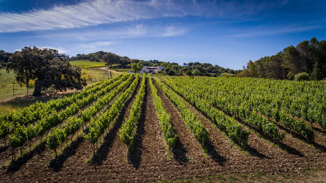 Finca in Ronda, Andalusia, Spain 4 - 12768698