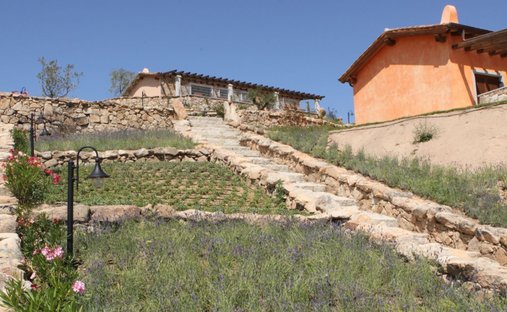 Azienda agricola a Porto Rotondo, Olbia, Sardegna 1