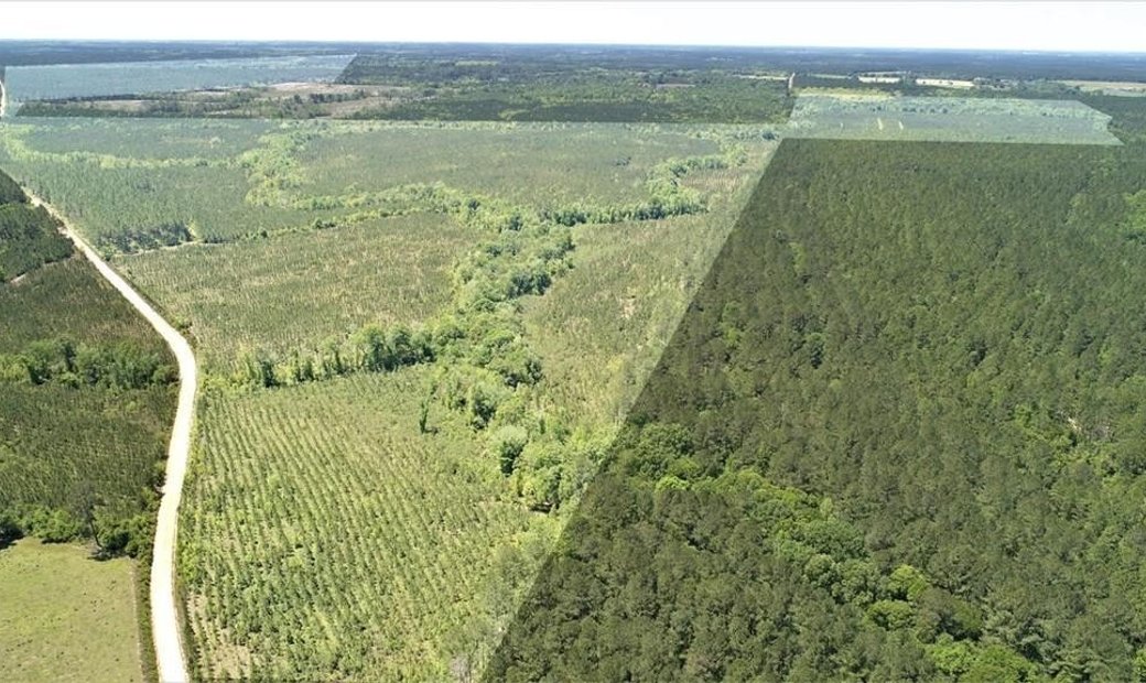 Lots And Land Fitzgerald In Fitzgerald, United States For Sale