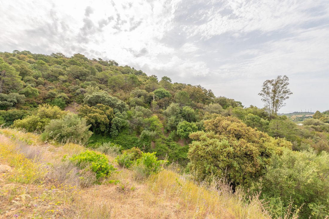Land in Estepona, Andalusia, Spain 1 - 12773095