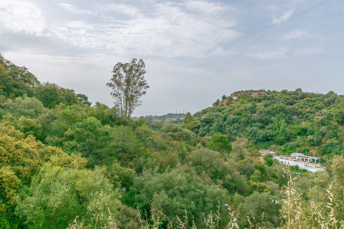 Land in Estepona, Andalusia, Spain 2 - 12773095