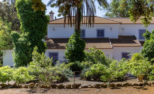 Finca in Archidona, Andalusia, Spain 1