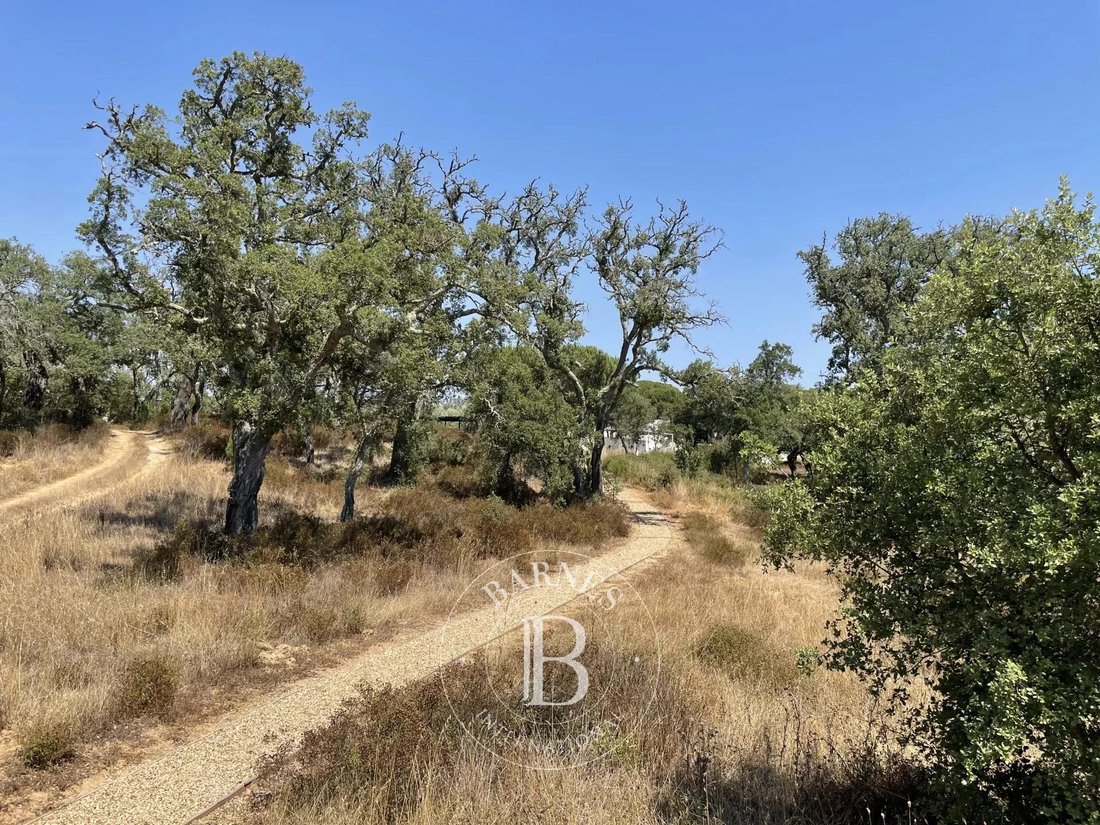 Patio House In Melides, Setubal, Portugal For Sale (12263116)