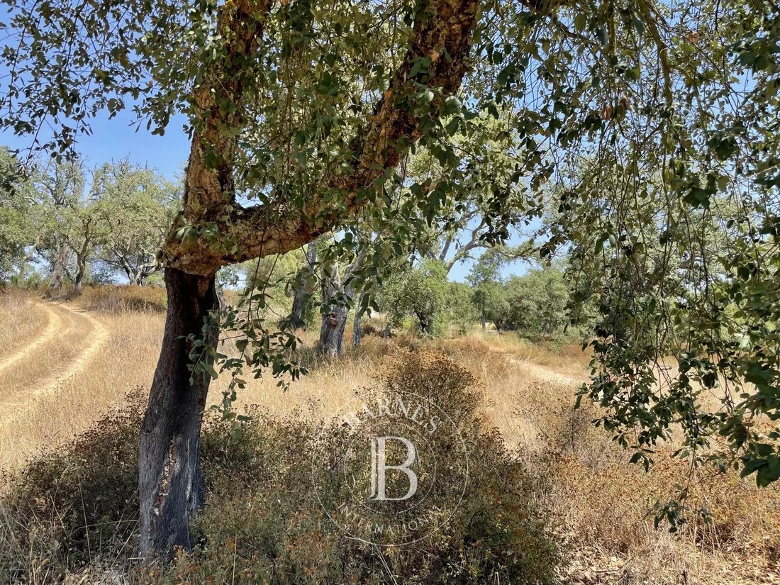 Patio House In Melides, Setubal, Portugal For Sale (12263116)