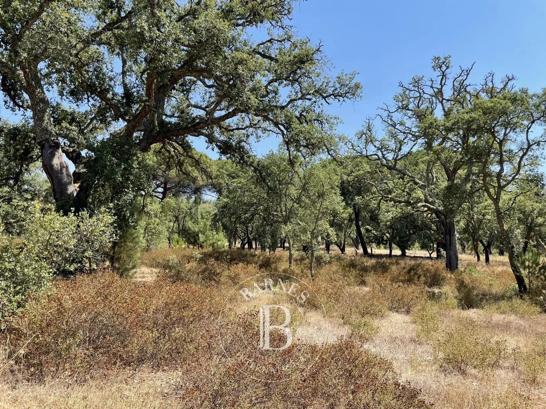 Patio House In Melides, Setubal, Portugal For Sale (12263116)