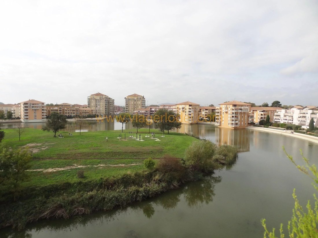 Apartment in Lattes, Occitanie, France 1 - 12383452