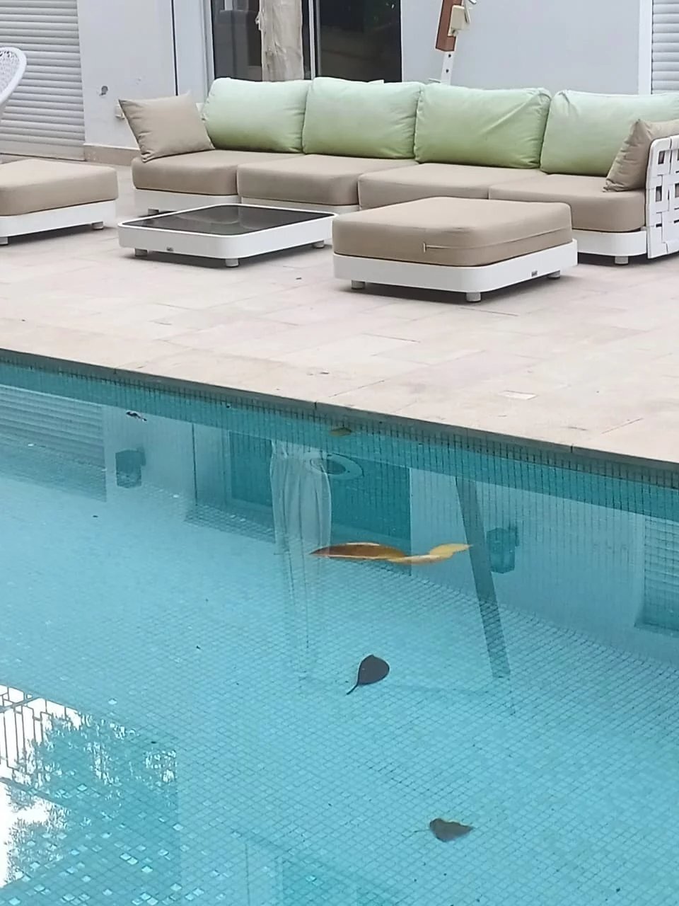 Maison La Marsa Dans Marsa, Tunis, Tunisie à Vendre (12571576)