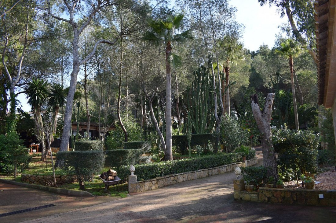 Villa in Palma, Balearic Islands, Spain 2 - 12781607