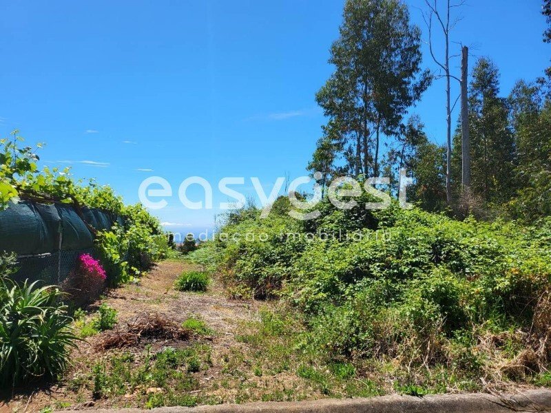 Rustic Land In The Strait Of Calheta In Estreito Da Calheta, Madeira