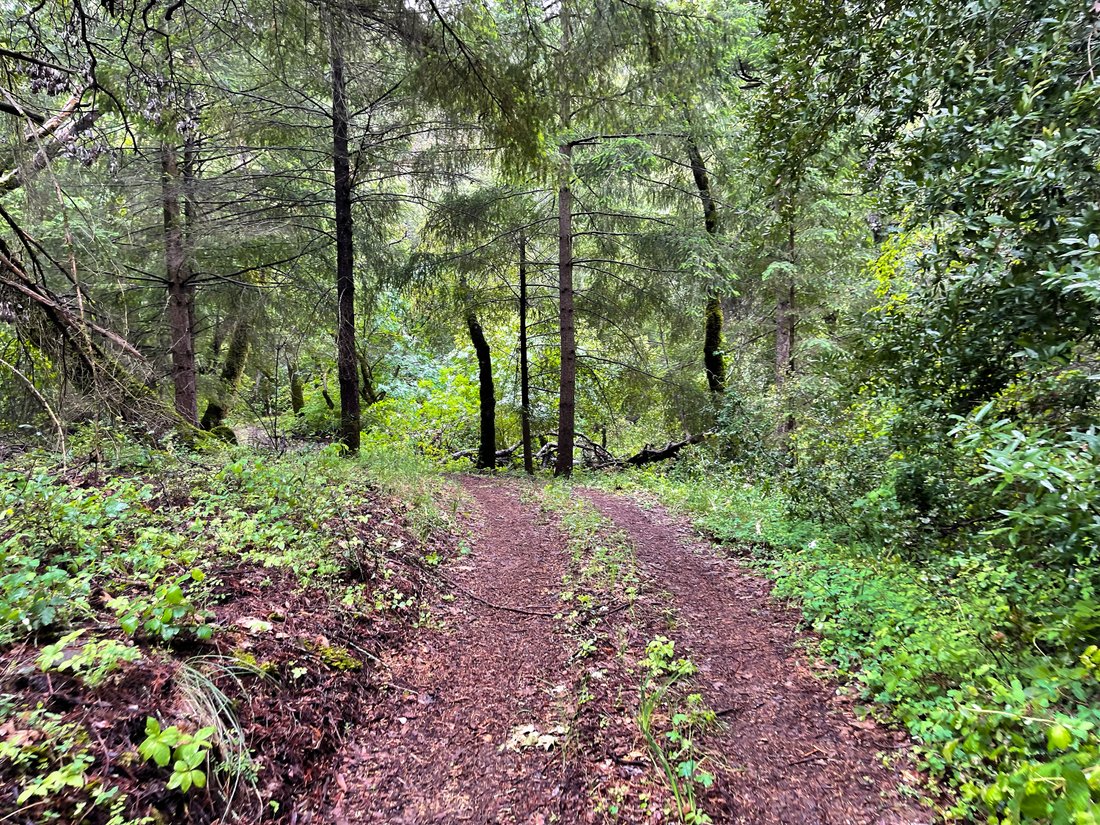 222± Acres In Sonoma Valley In Glen Ellen, California, United States