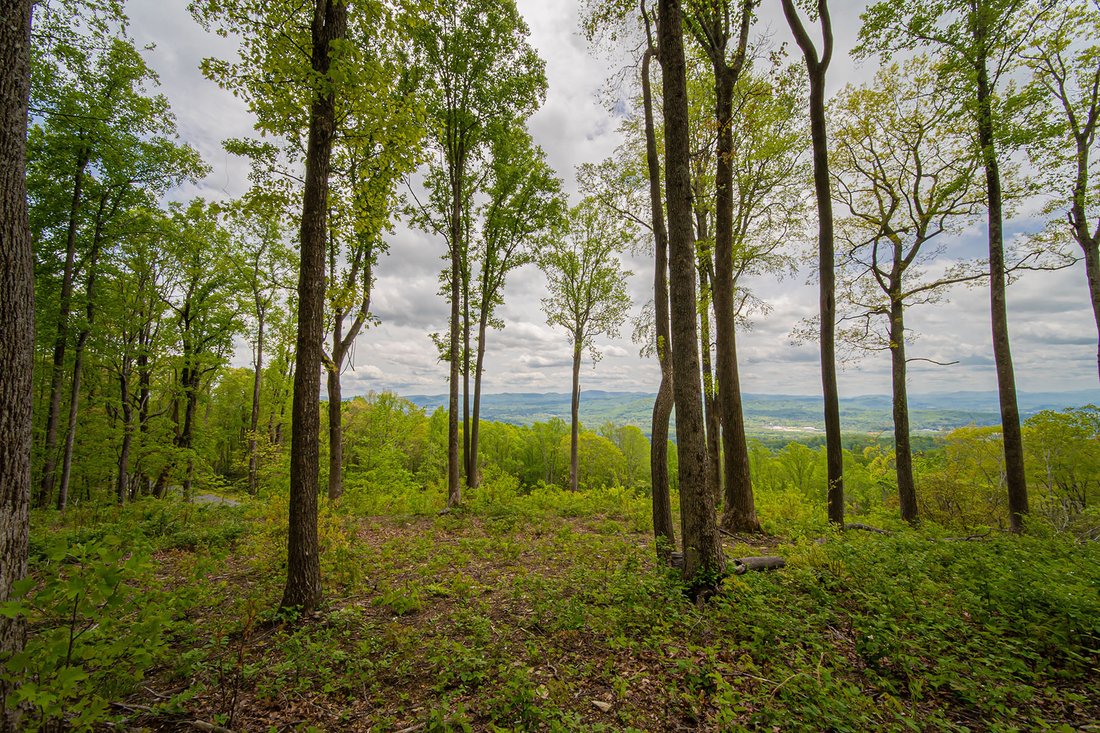 Fletcher Couch Mountain In Fairview, North Carolina, United States For