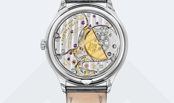 Patek Philippe Grand Complications, Perpetual Calendar 7140G-001
