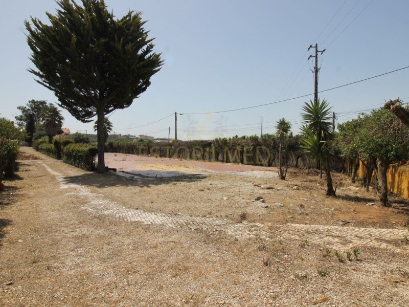 Farm Sale Sintra In Sintra, Lisbon, Portugal For Sale (12794895)