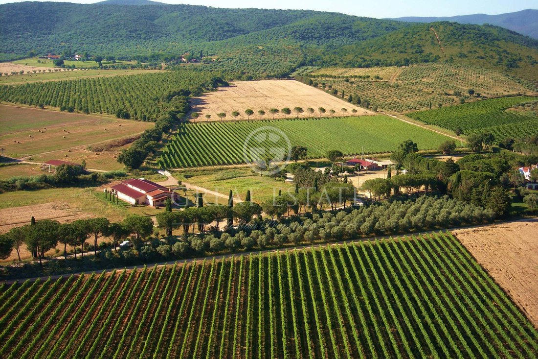 Podere Mustiaio In Grosseto, Tuscany, Italy For Sale (12796607)
