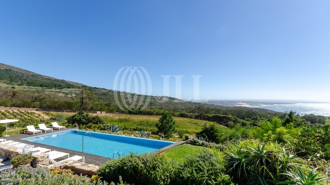 Wine Tourism Estate, In Colares, Sintra In Colares, Lisbon, Portugal For Sale (12798848)