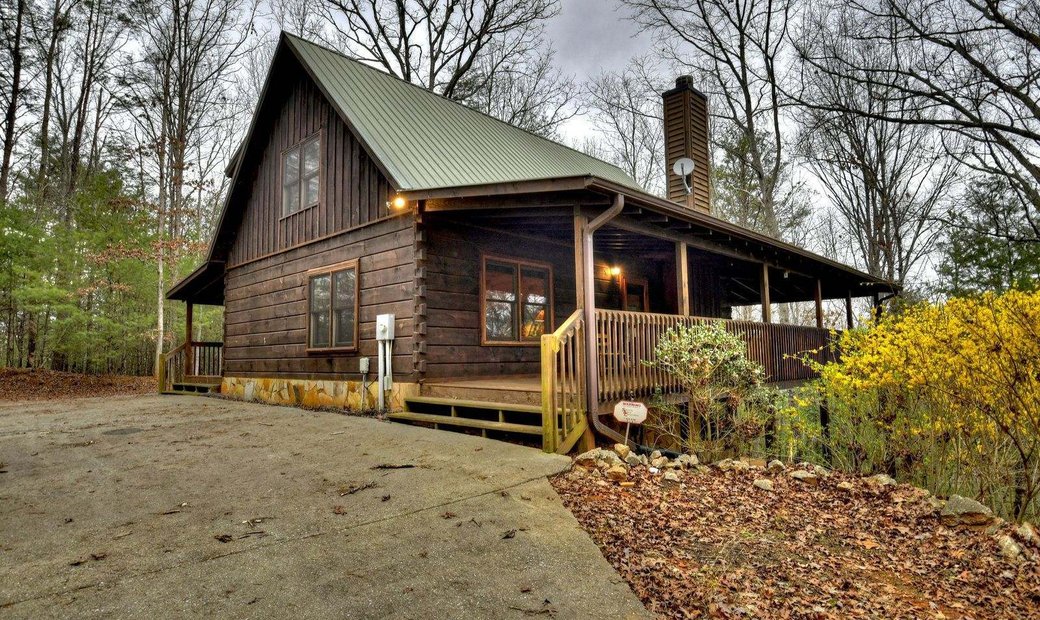 140 Bison Trail, Mineral Bluff, Ga Dans Mineral Bluff, états