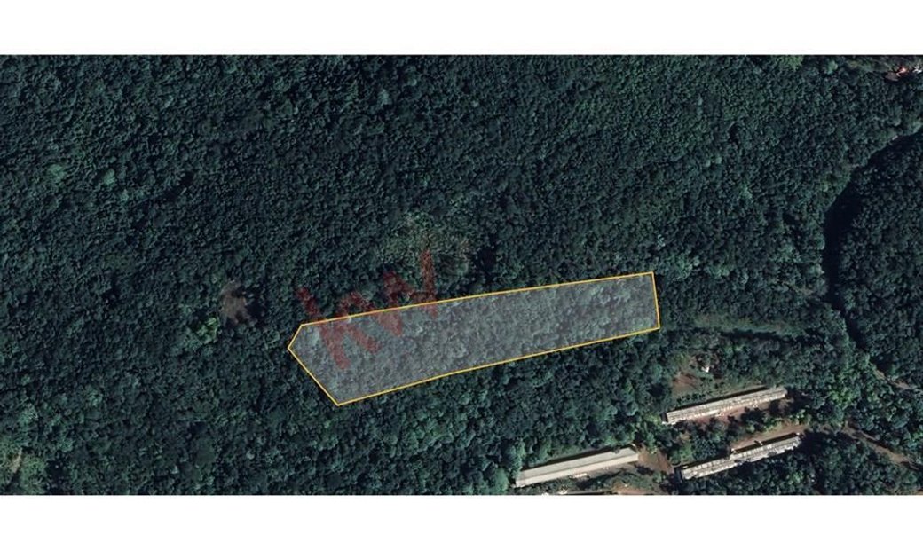 Lots And Land Jarabacoa In Jarabacoa, Dominican Republic For Sale