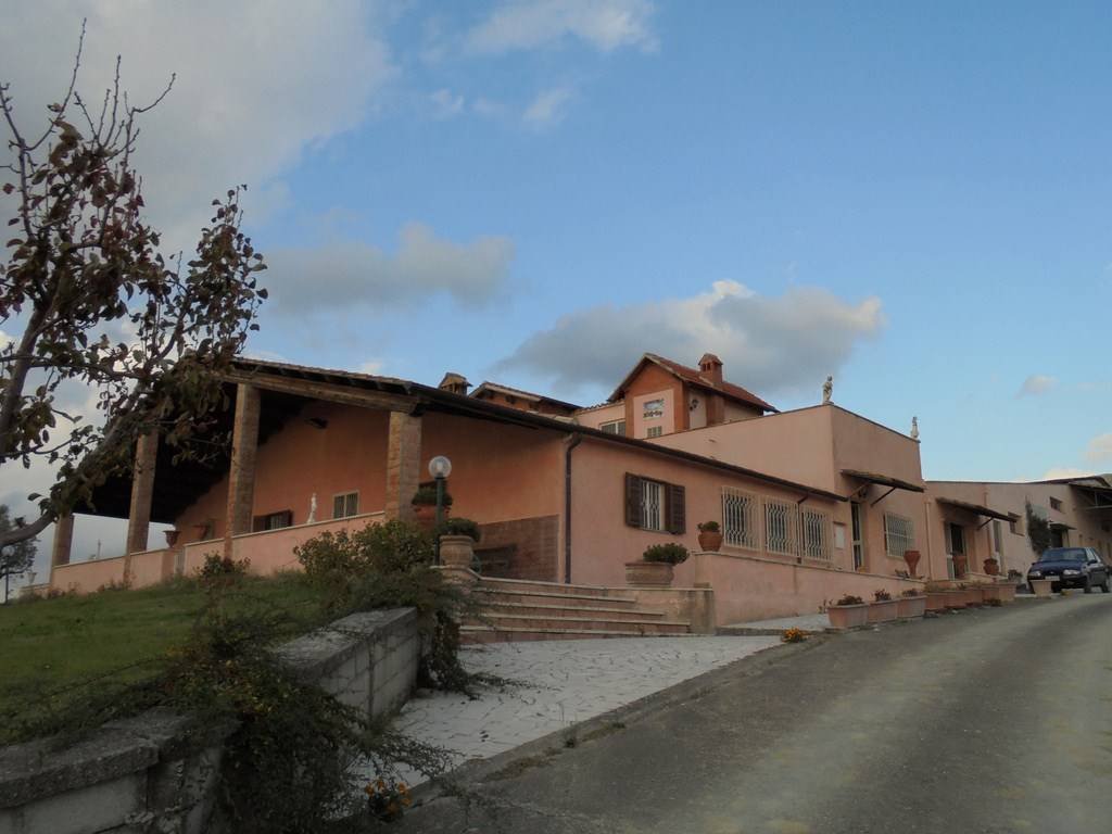 Montecchio, Umbria, Italy 3 - 12815200