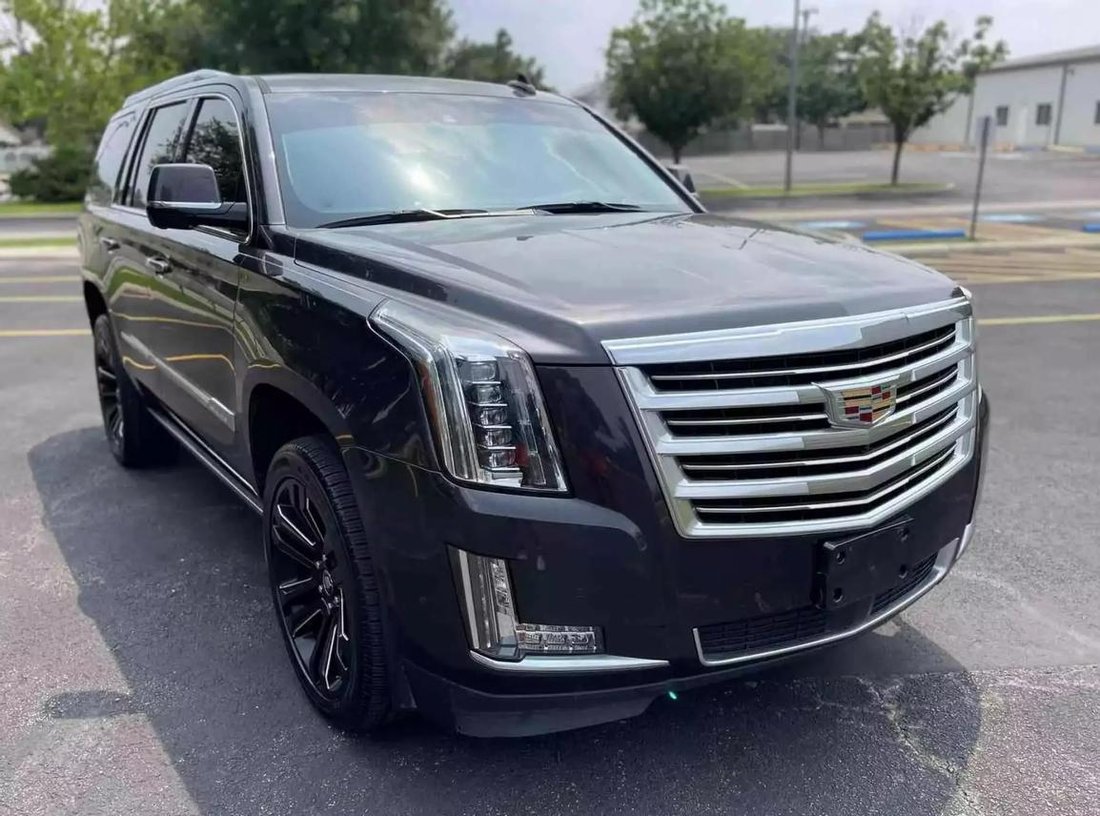 2017 Cadillac Escalade In San Antonio, Texas, United States For Sale