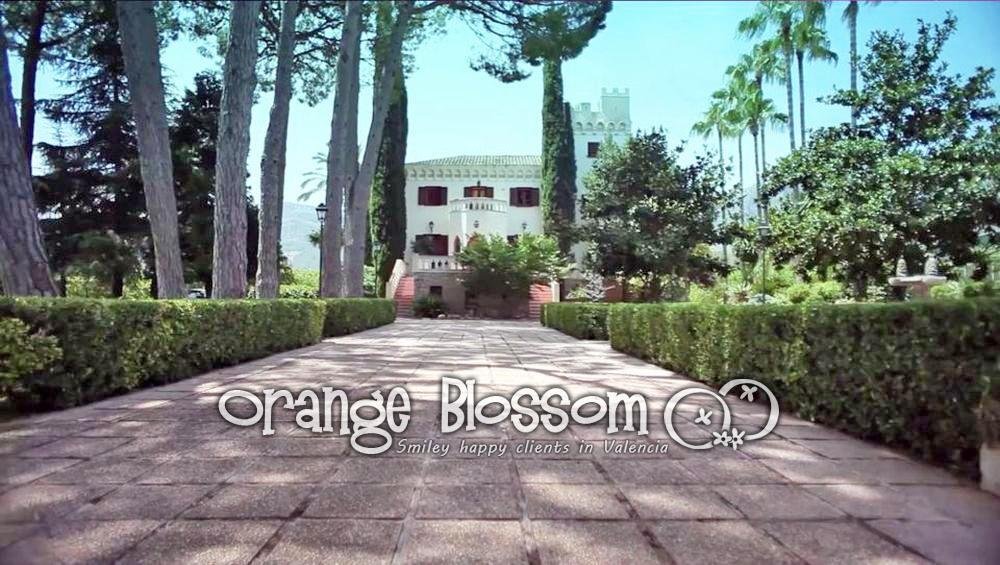 Villa in Gandia, Valencian Community, Spain 2 - 12809537