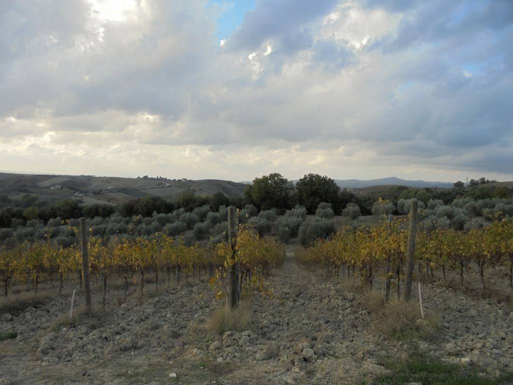 Montecchio, Umbria, Italy 4 - 12815200