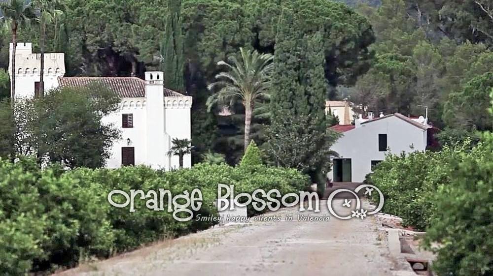 Villa in Gandia, Valencian Community, Spain 4 - 12809537