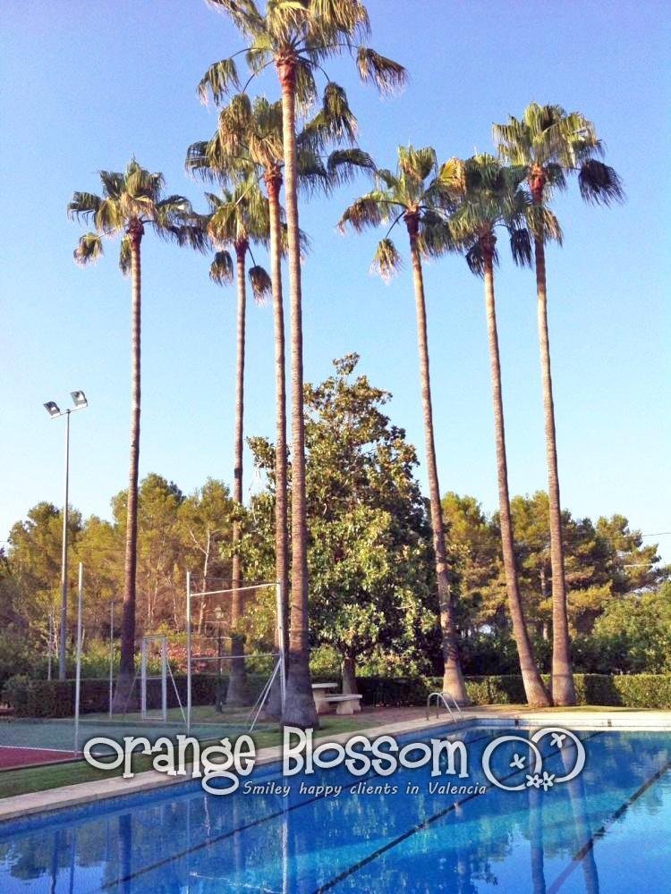 Villa in Gandia, Valencian Community, Spain 5 - 12809537