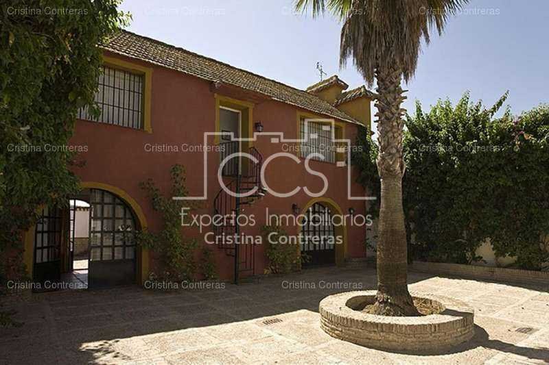 Villa in Alcala de Guadaira, Andalusia, Spain 2 - 10863584