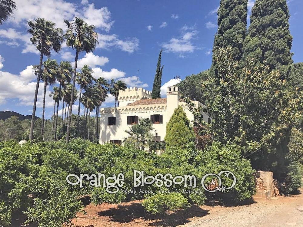 Villa in Gandia, Valencian Community, Spain 1 - 12809537